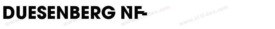 Duesenberg NF字体转换